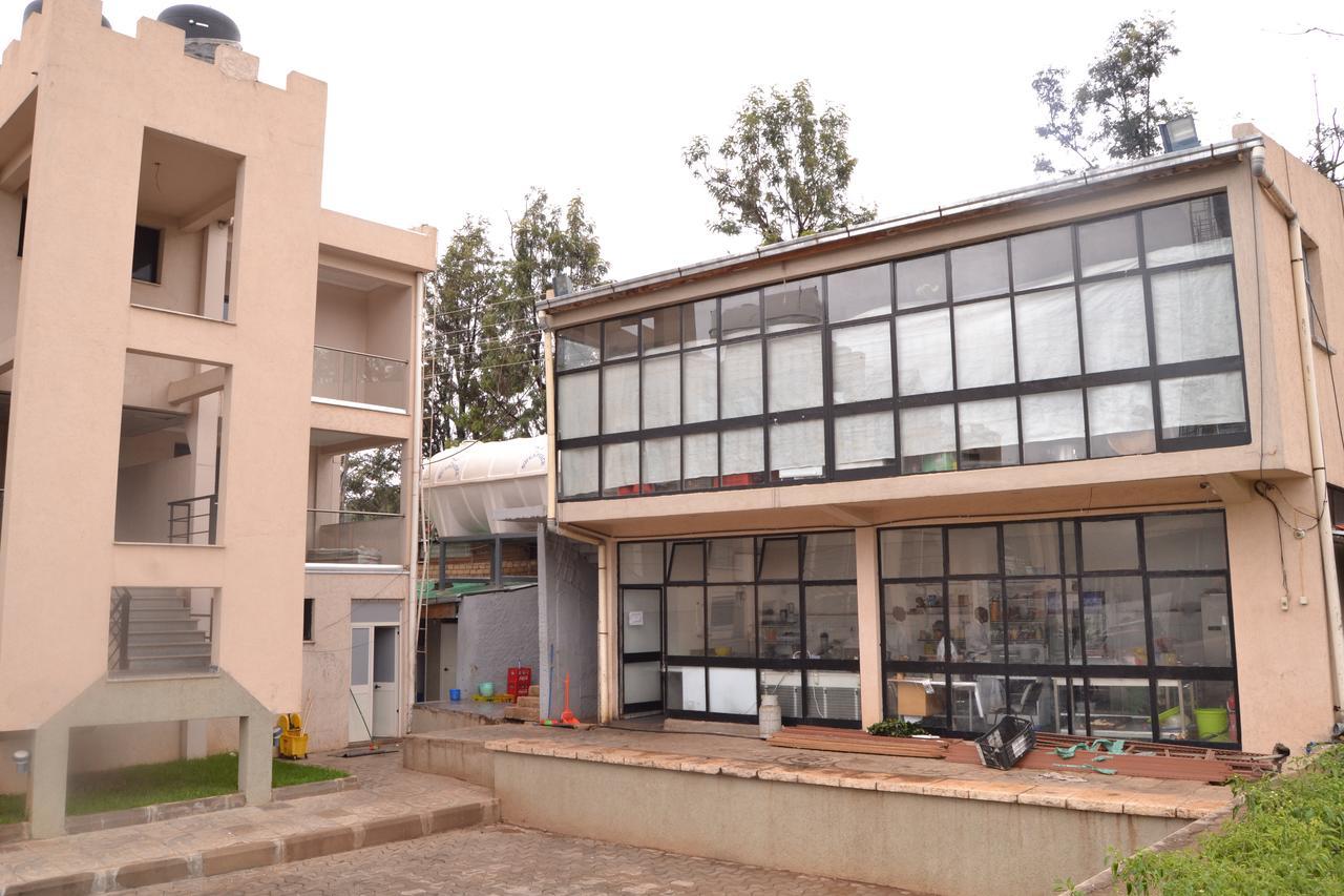 Grand Gato Hotel And Tours Harar Bagian luar foto